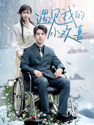 遇见我的小欢喜（70集） 真的太好看了