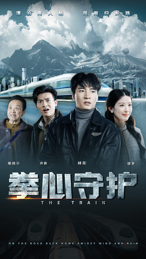 拳心守护（28集） 热门短剧推广