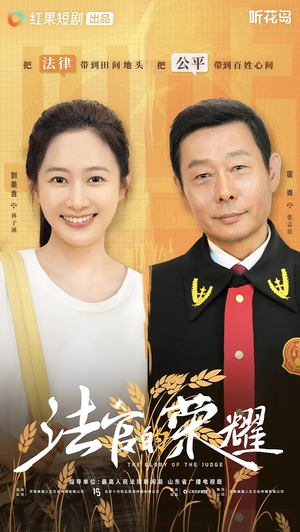 法官的荣耀（5集全）在哪个平台看