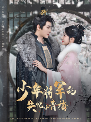 少年将军的失忆小青梅（100集）追短剧太上头了