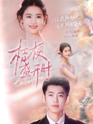 她的小桔梗（92集）小短剧抢先看