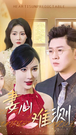 妻心难测（33集）免费在线看全集