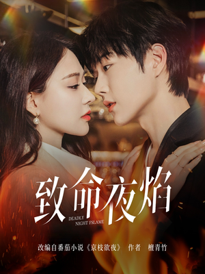 致命夜焰（80集）全集完整版