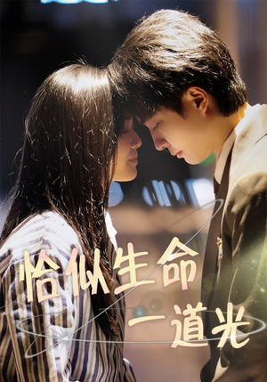 恰似生命一道光（60集） 最火短剧热播