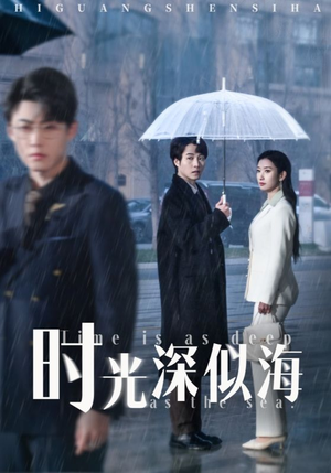 时光深似海（35集） 评价怎么样
