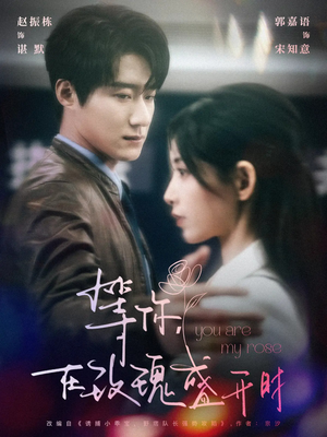 等你在玫瑰盛开时（80集） 高分推荐免费看