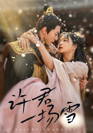 许君一场雪（43集）热门短剧看不停