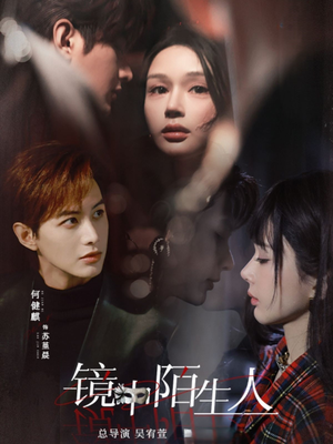 镜中陌生人（54集） 在线观看完整版