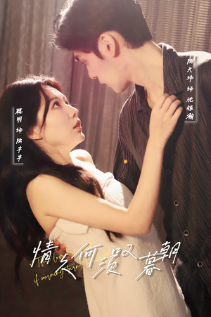 情久何须叹暮朝（61集） 短剧精彩推荐