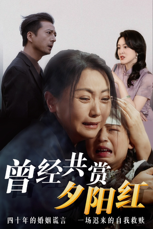 曾经共赏夕阳红 独家资源免费看