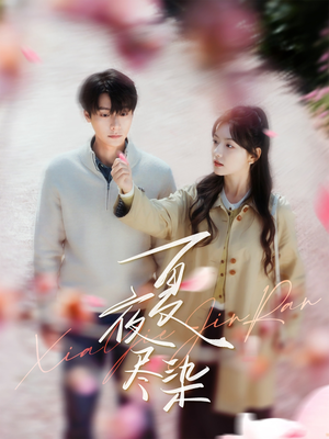 夏夜尽染（80集） 免费短剧资源