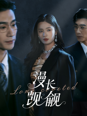 漫长觊觎（72集）评价怎么样