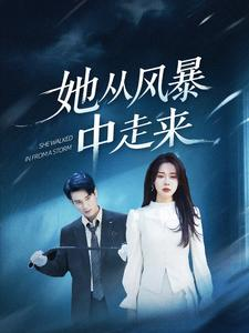 她从风暴中走来（60集）大结局太过瘾了
