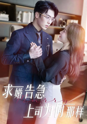 求婚告急上司为何那样（70集） 好看上头的短剧