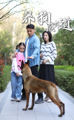 养狗应有道（60集）热门短剧排行榜