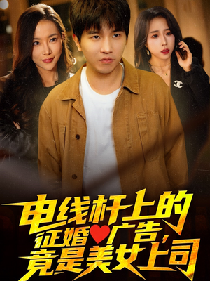 电线杆上的征婚广告，竟是美女上司（90集）精彩的网络短剧