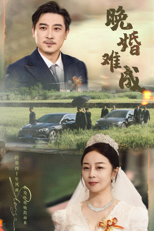 晚婚难成（60集）免费观看就是爽