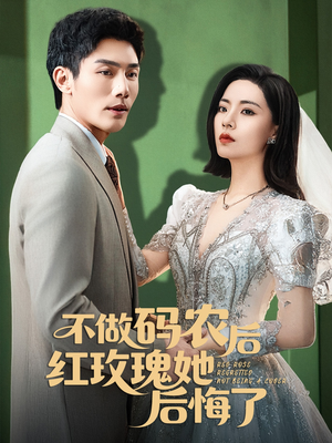 不做码农后红玫瑰她后悔了（60集）全季一次看完