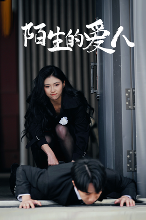 陌生的爱人（60集）精彩短剧追不停