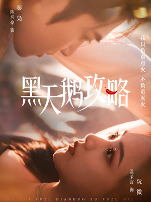 黑天鹅攻略（65集）精彩热门短剧