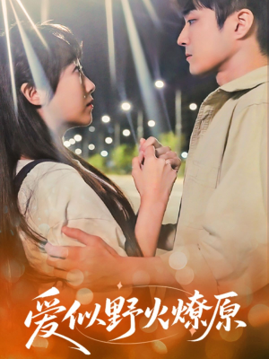 爱似野火燎原（47集）爆款热门短剧