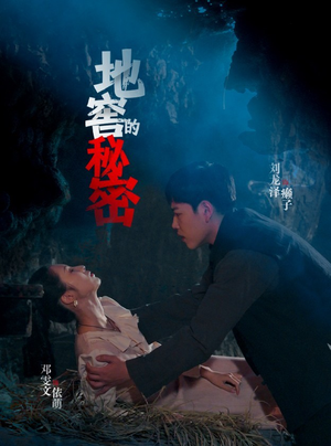 地窖的秘密（40集）免费短剧看全集