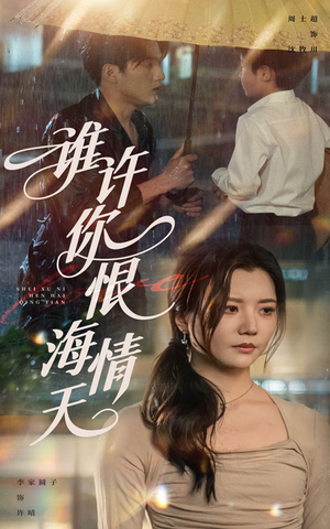 谁许你恨海情天（50集）最新热剧免费看