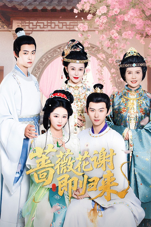 蔷薇花谢即归来（61集）短剧