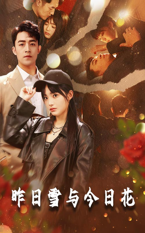 昨日雪与今日花（81集）怎么看全集
