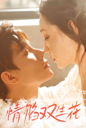 情陷双生花(30集) 情陷双生花(30集)追短剧太上头了