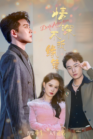 情深不抵缘错（60集）更新时间一览表