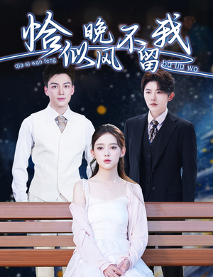 恰似晚风不留我（51集）最火的短剧