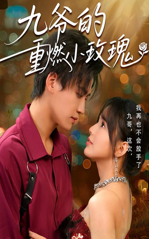 九爷的重燃小玫瑰（67集）在哪里看