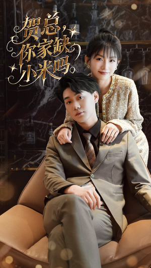 贺总你家缺小米吗（60集）短剧解说热门