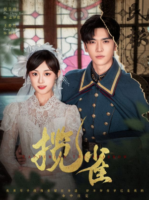 揽雀（61集）最火爆的短剧