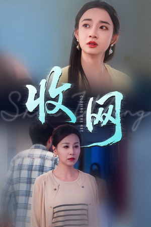 收网（60集）短剧追不停