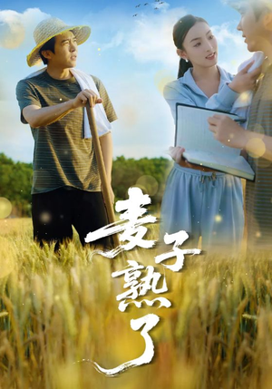 麦子熟了（52集）深深爱上这部剧