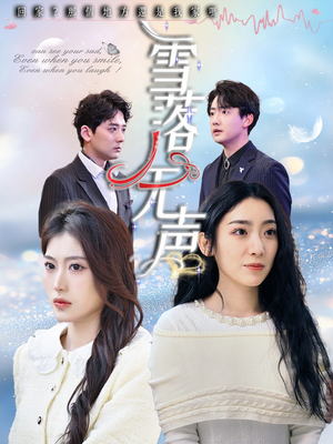 雪落无声（50集）全集免费观看