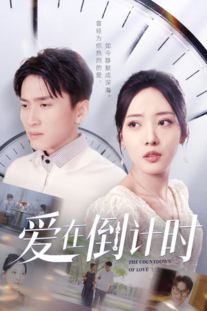 爱在倒计时（30集）高清画质免费看