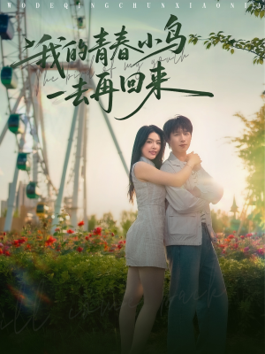 我的青春小鸟一去再回来（95集）红果免费看短剧