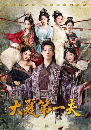 大夏第一夫（90集）第二季