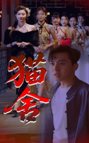 猫舍（34集）精彩不断免费看