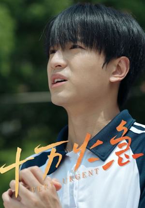 十万火急（30集）短剧解说全集