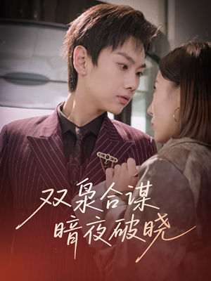 双枭合谋暗夜破晓（30集）演的怎么样