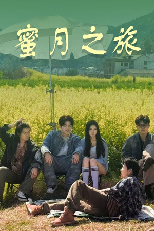 蜜月之旅（35集）短剧在线更新