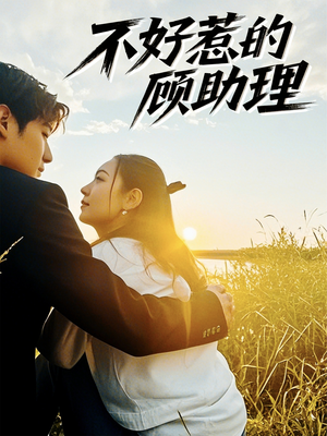 不好惹的顾助理（67集）一起追短剧