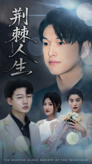 荆棘人生（74集）演的怎么样