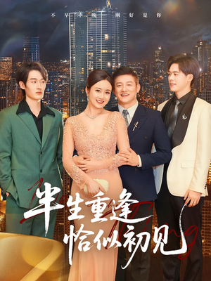 半生重逢恰似初见（90集）精彩短剧追不停