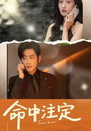 命中注定（33集）精彩短剧推荐