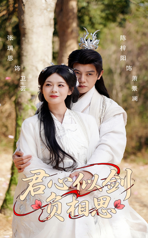 君心似剑负相思（61集）精彩短剧天天看